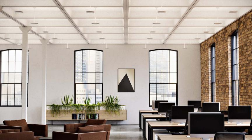 Polina Uplight Open Office